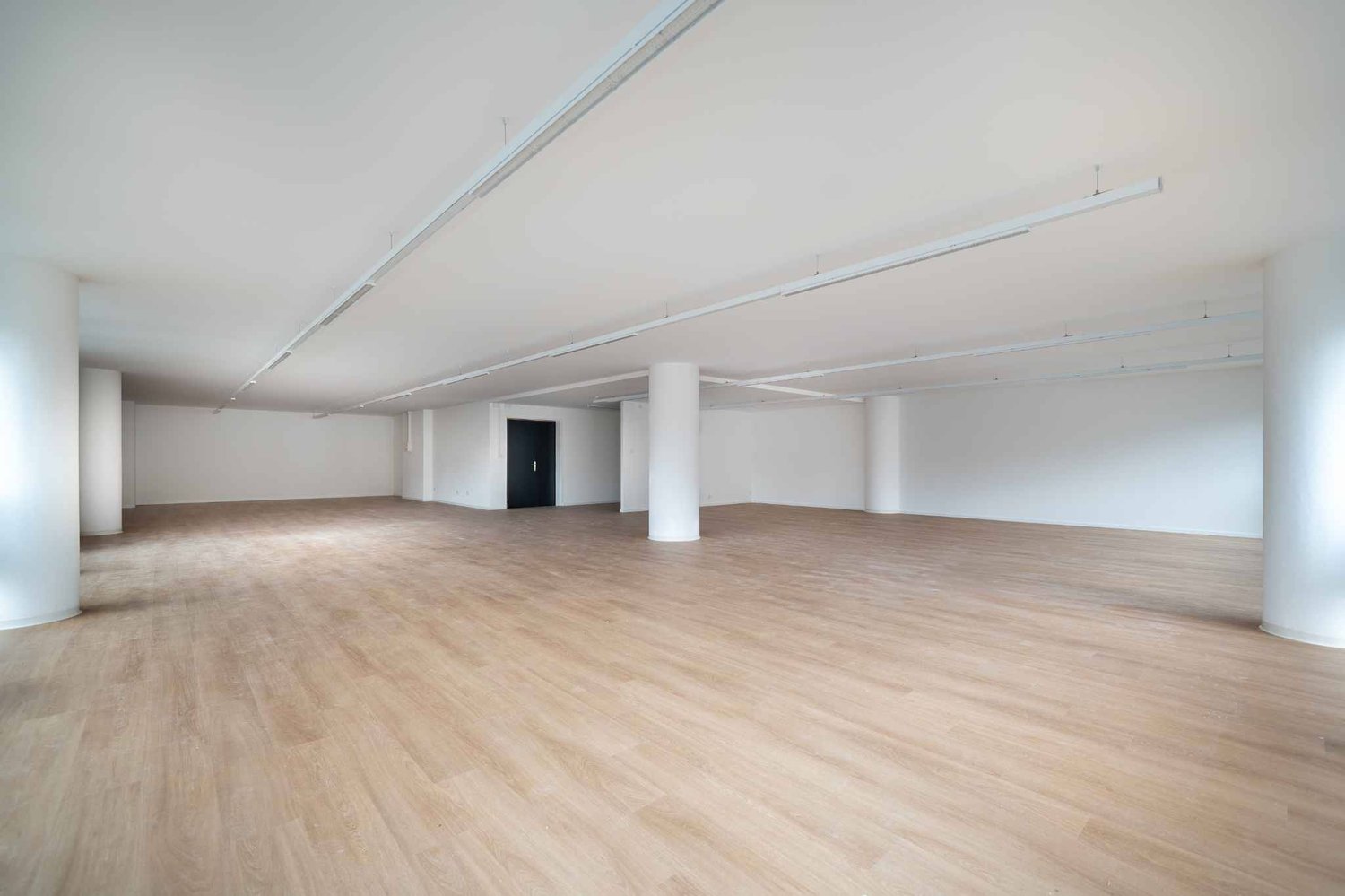 221m² office