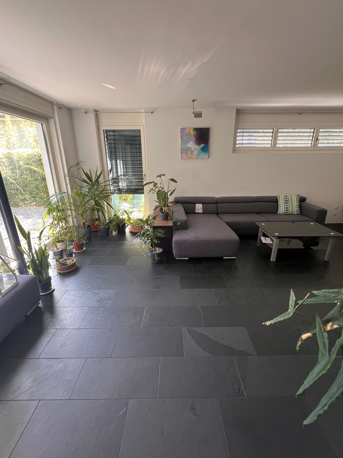 Chambre dans une colocation
