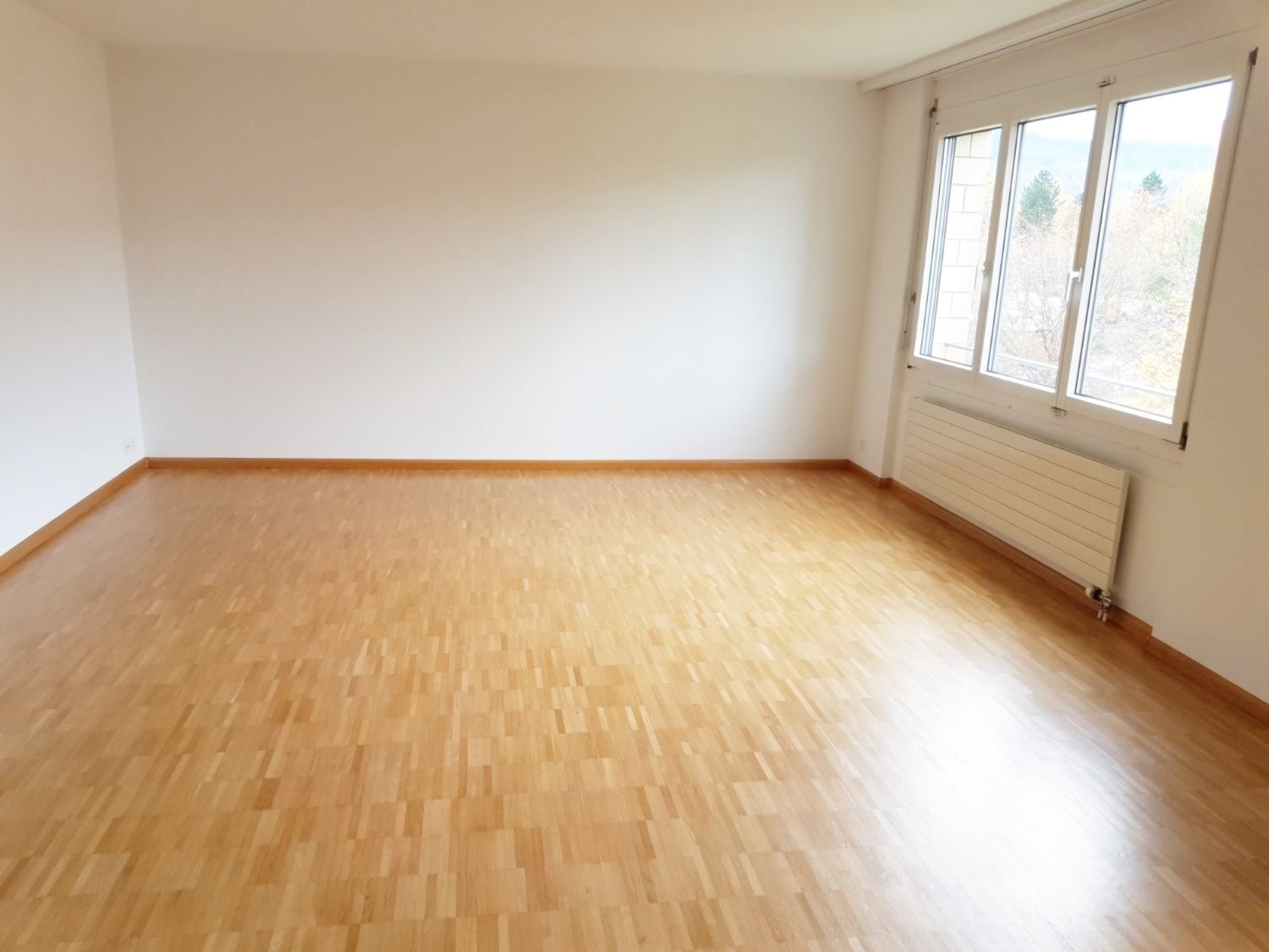 4 ½ pièces appartement