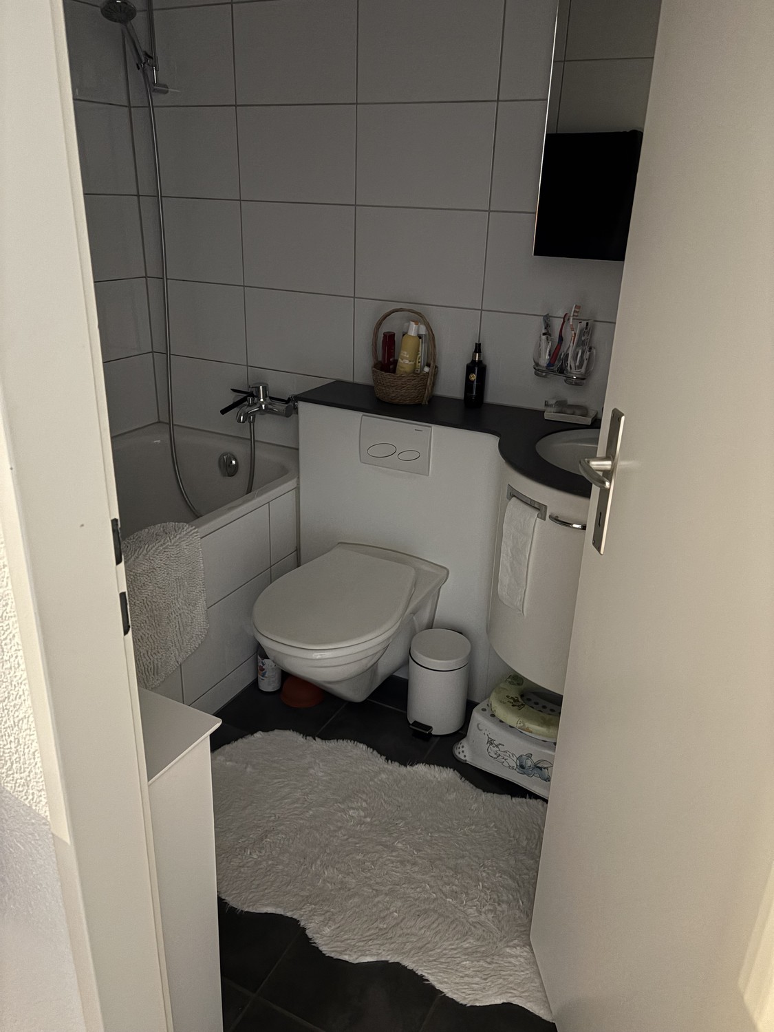 Appartement de 3 ½ pièces, photo 2 sur 7