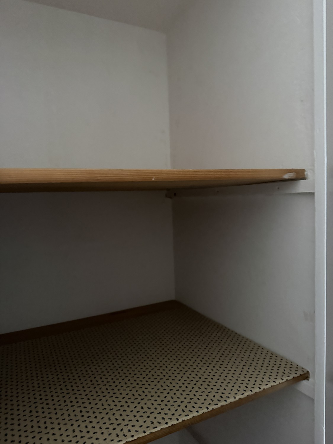 1 ½ rooms apartment, photo 8 sur 8