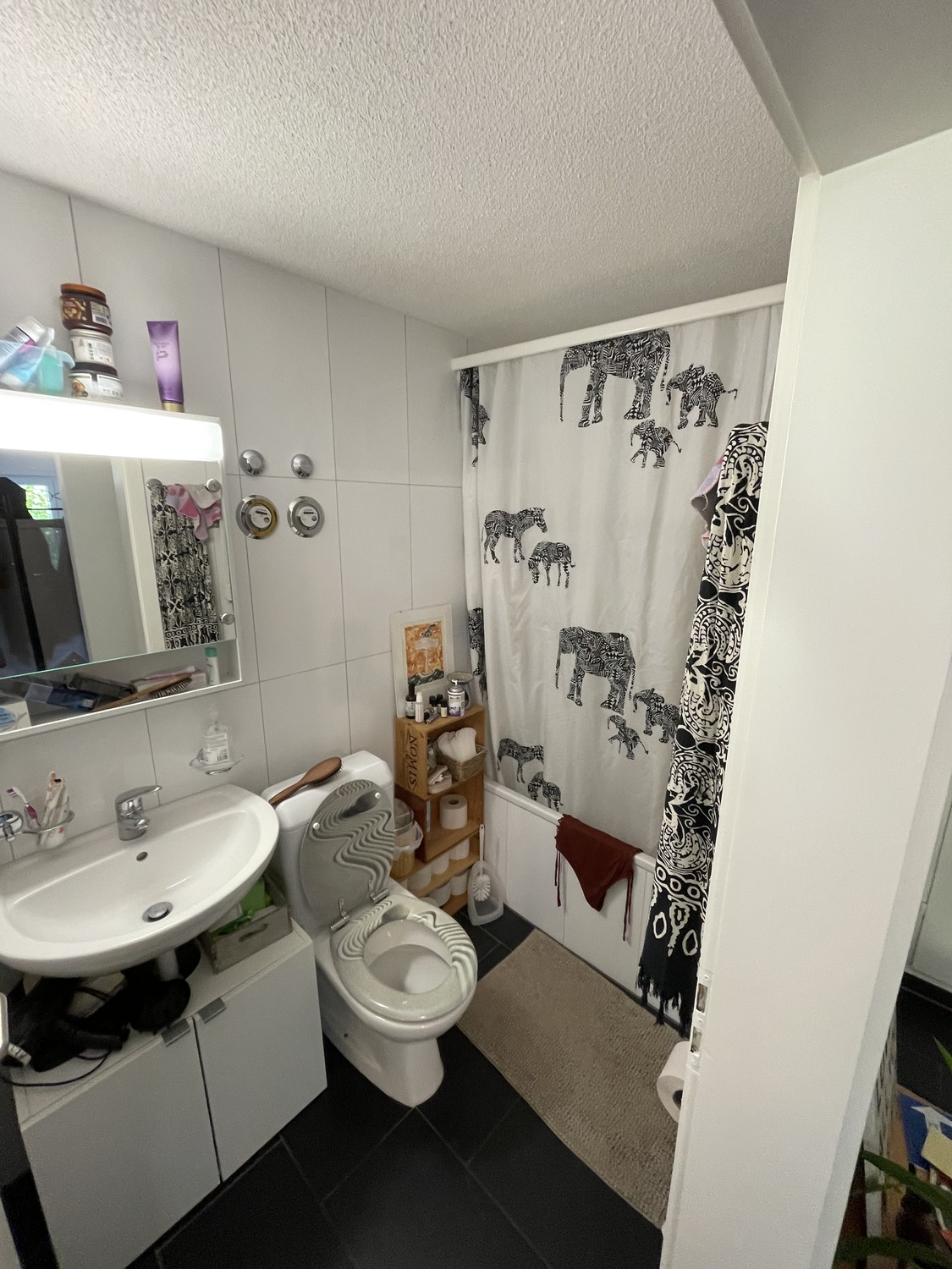 Appartement de 2 ½ pièces