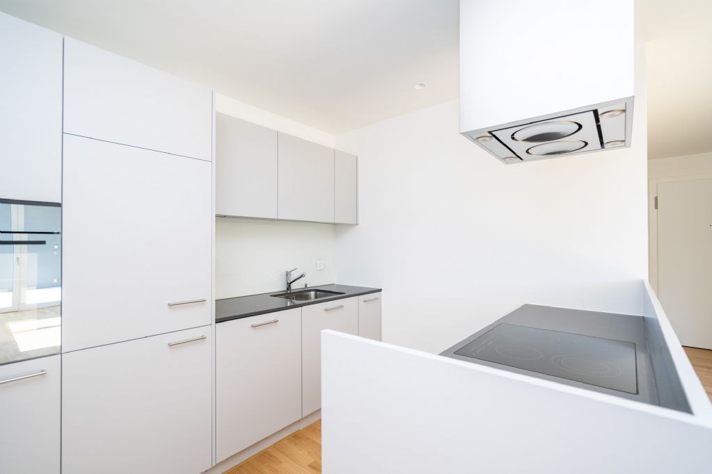 Appartement de 2 ½ pièces, photo 2 sur 6