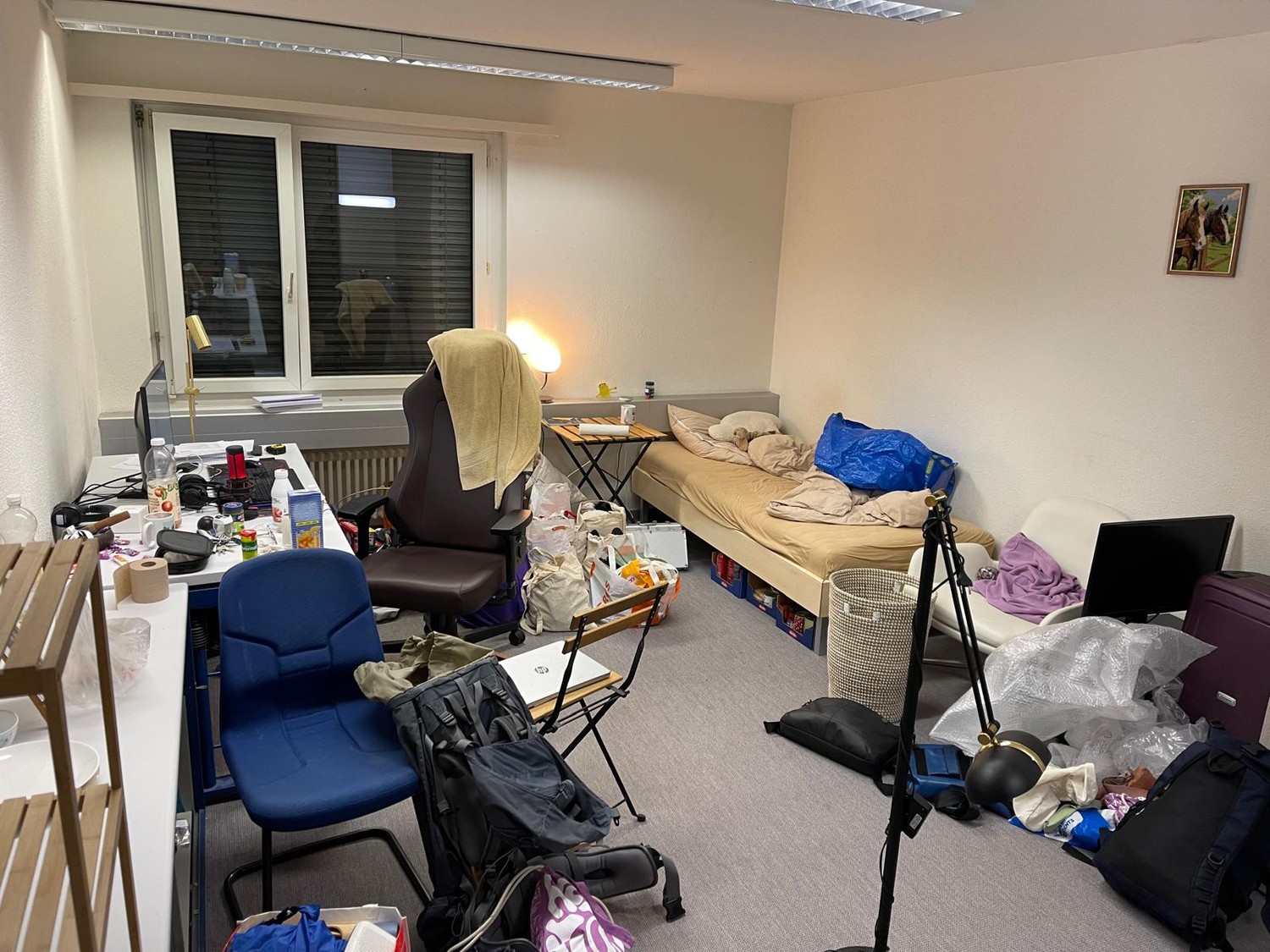 Chambre en colocation, photo 5 sur 5