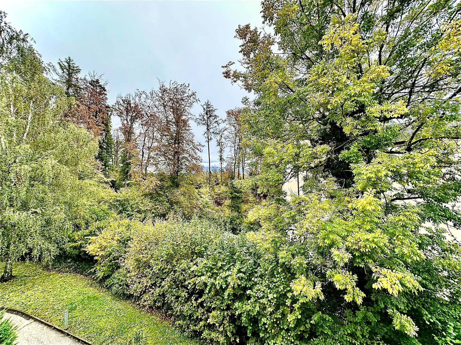 186m² office, photo 8 sur 8