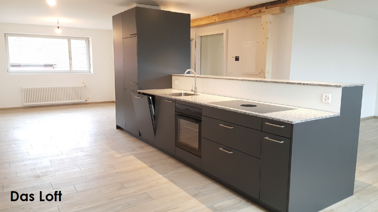 loft 1 pièce
