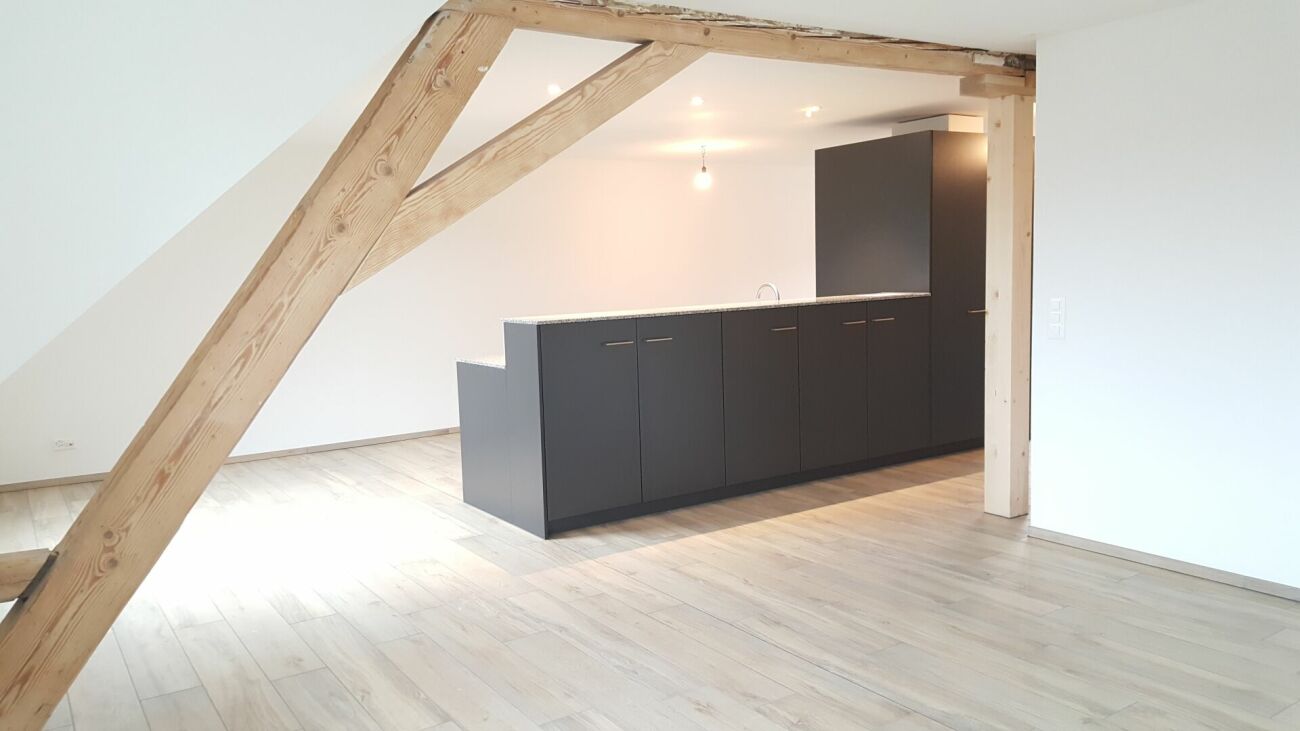 loft 1 pièce