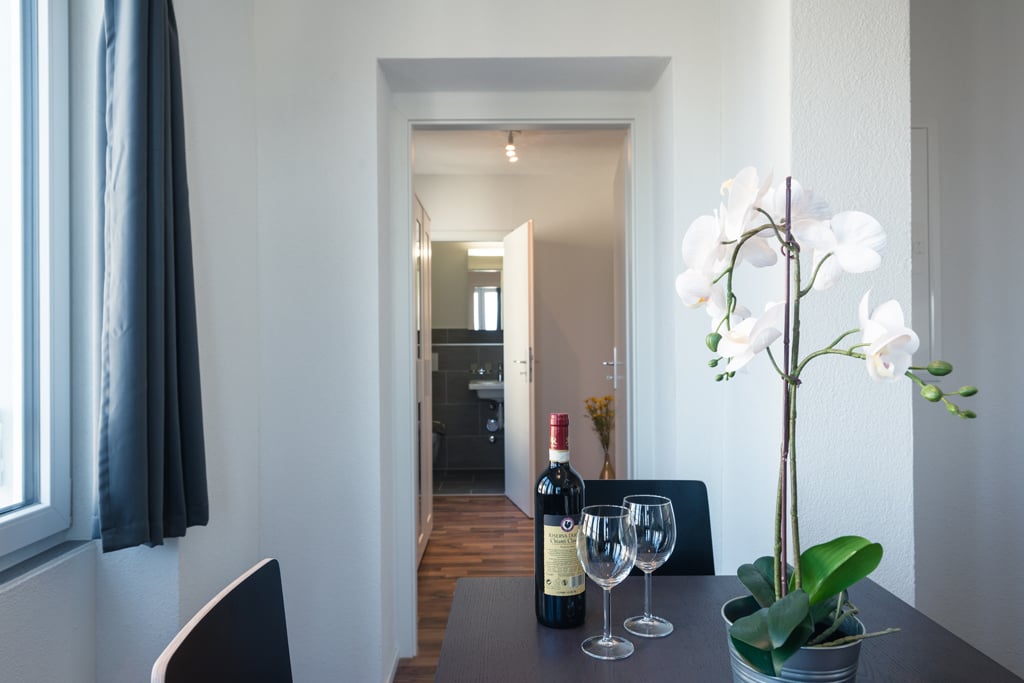 appartement meublé de 2 pièces, photo 5 sur 10