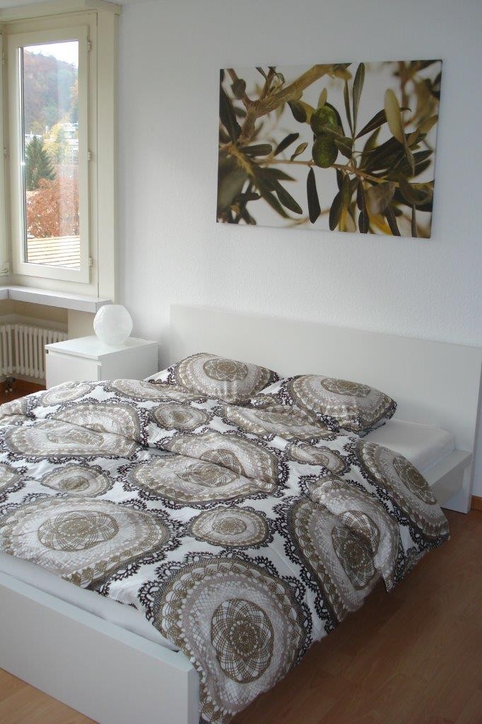 Appartement 1 ½ pièces, photo 1 sur 3