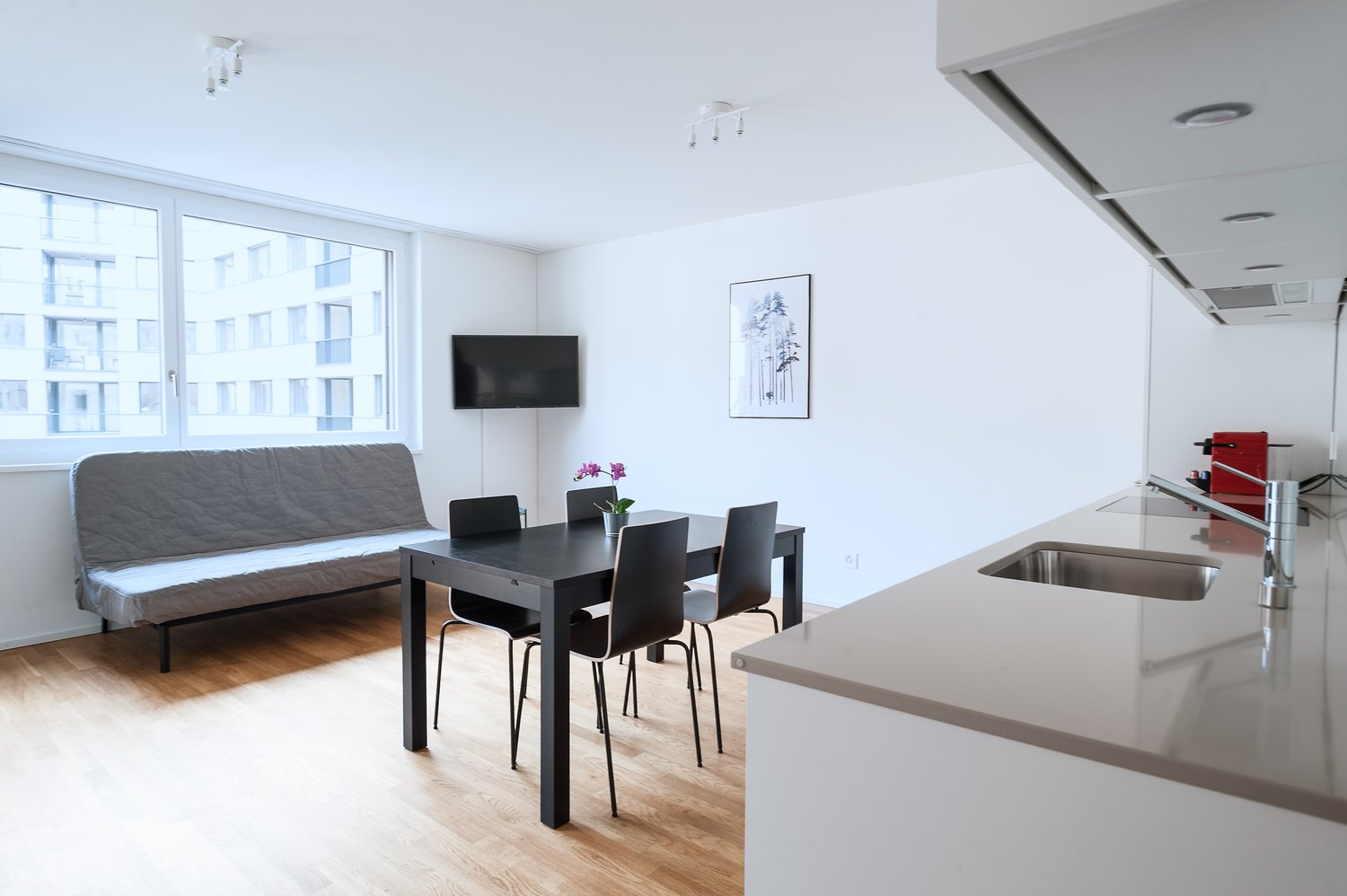 Appartement meublé de 2 ½ pièces