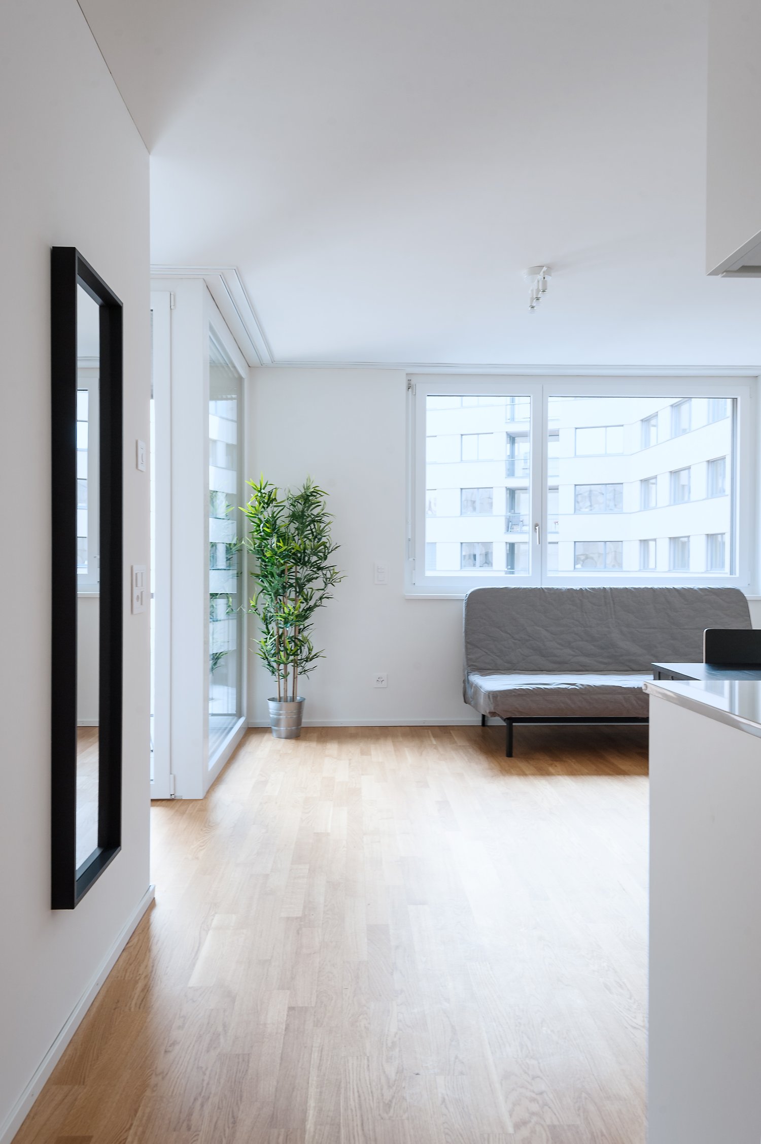 Appartement meublé de 2 ½ pièces