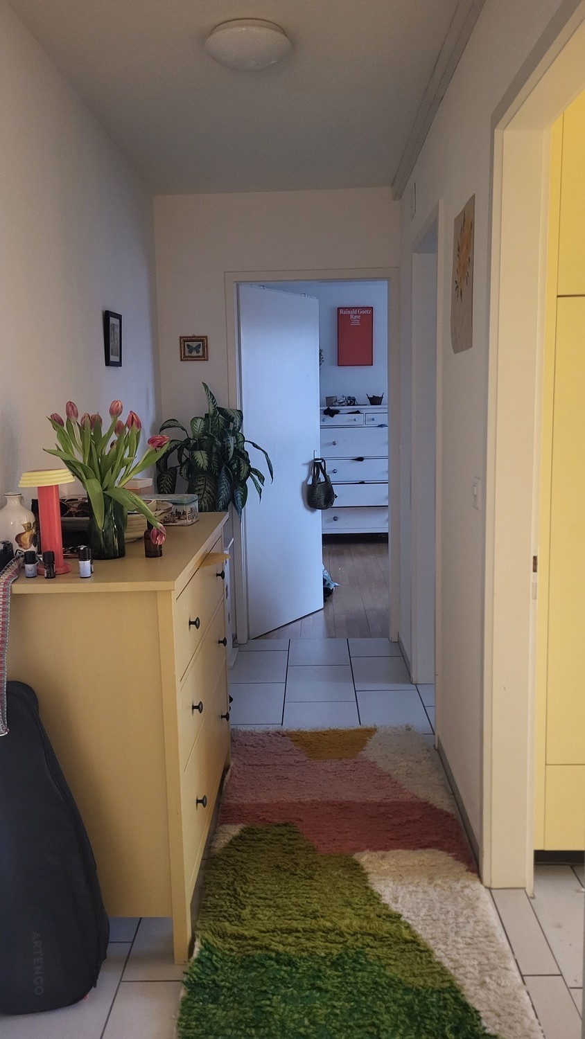 Appartement de 1 ½ pièces