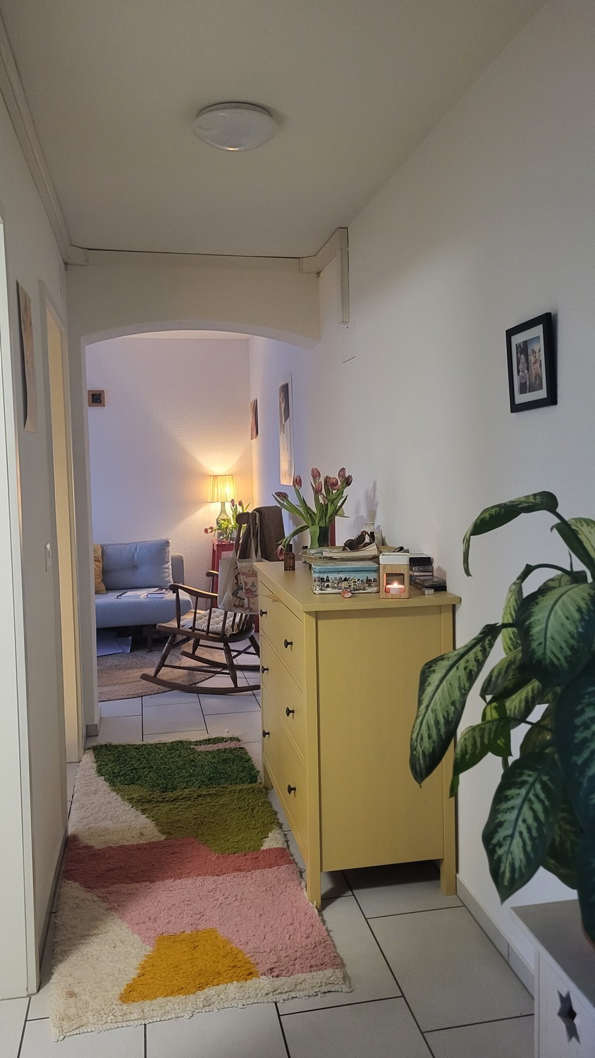 Appartement de 1 ½ pièces