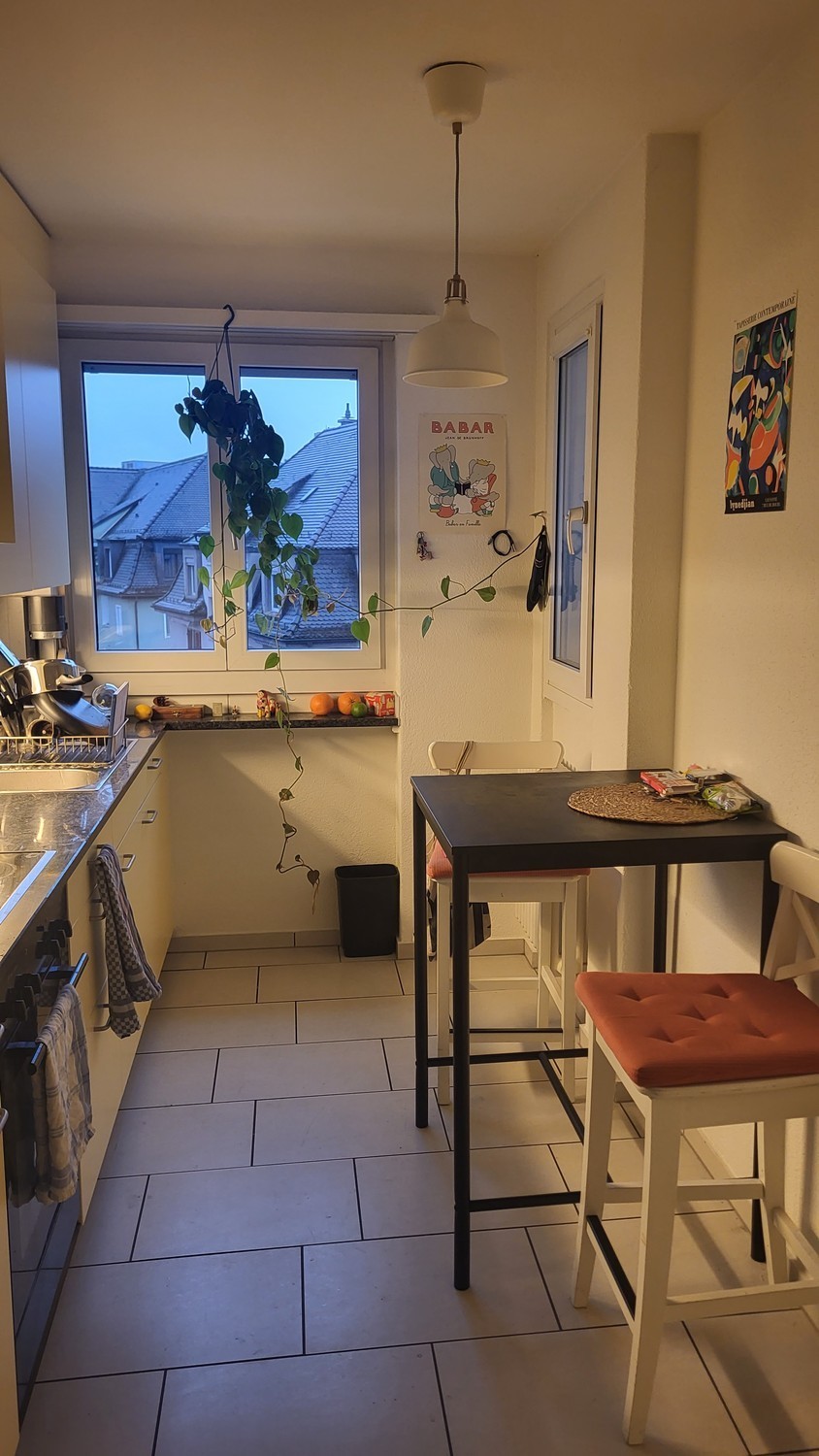 Appartement de 1 ½ pièces