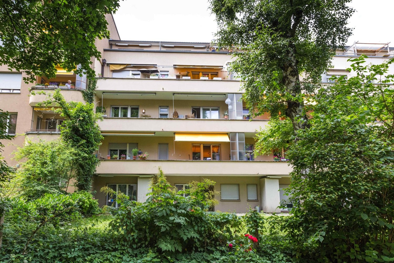 Appartement de 3 ½ pièces, photo 2 sur 9