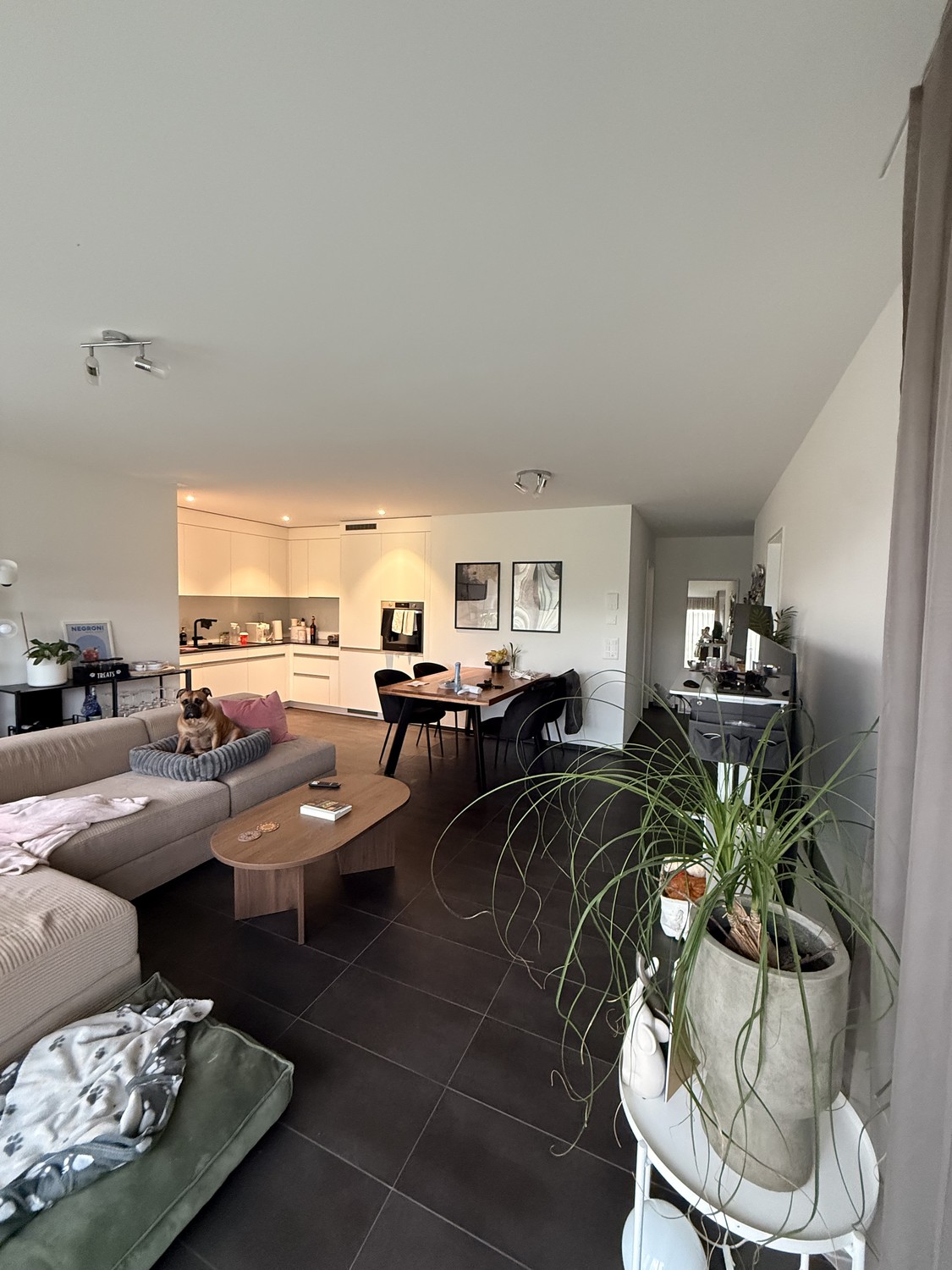 Appartement de 3 ½ pièces, photo 4 sur 8