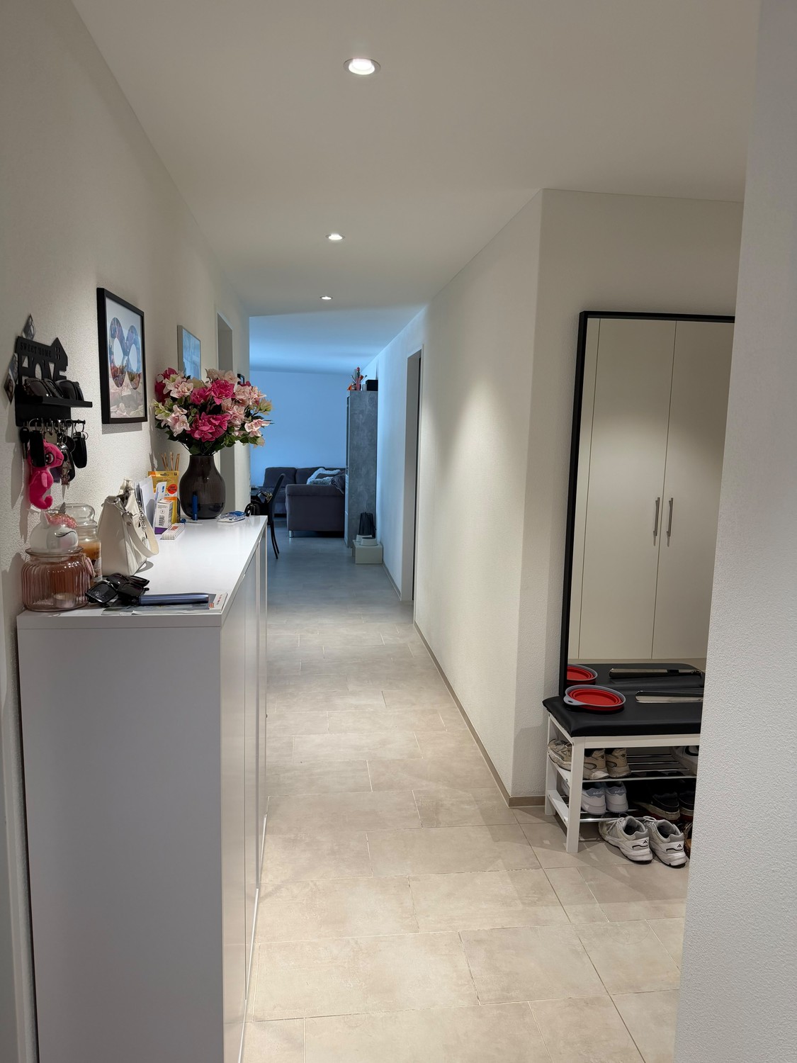 Appartement de 3 ½ pièces