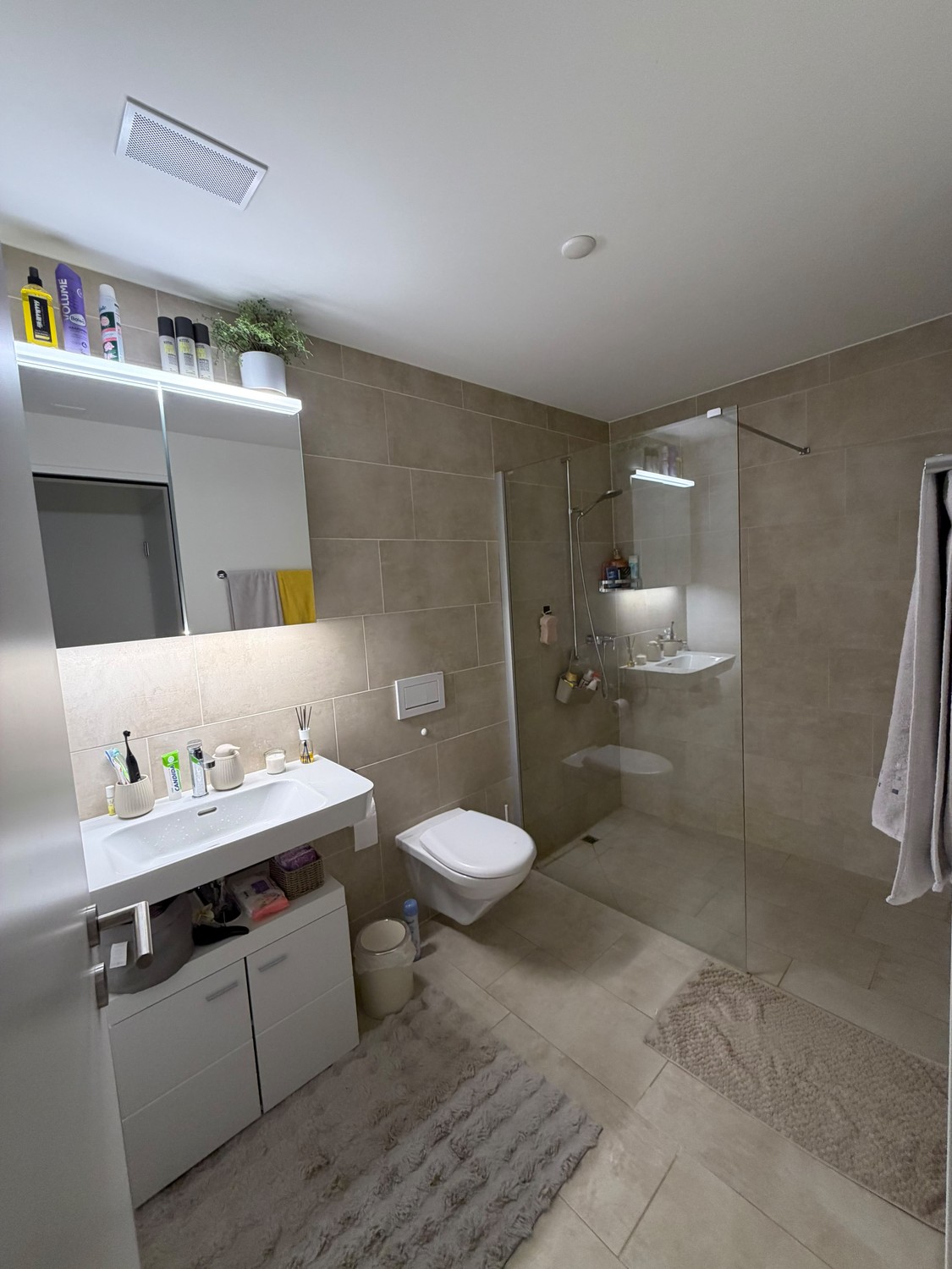 Appartement de 3 ½ pièces