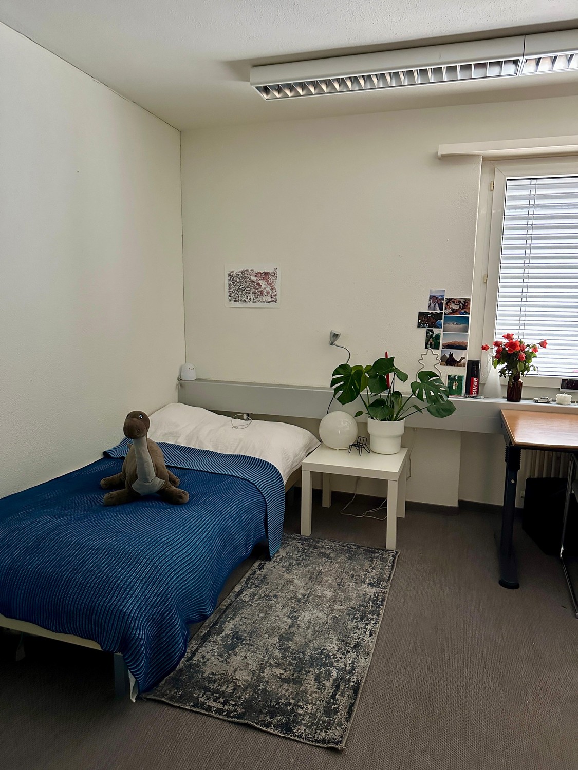 Chambre en colocation, photo 1 sur 3
