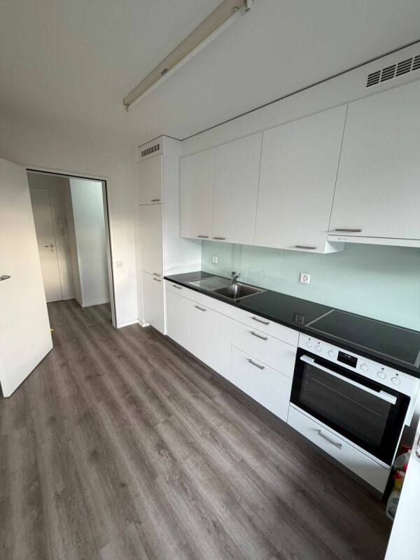 Appartement de 2 ½ pièces, photo 2 sur 10