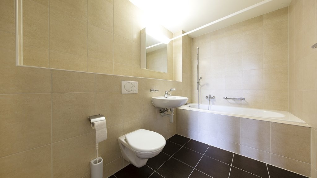 Appartement de 1 ½ pièces