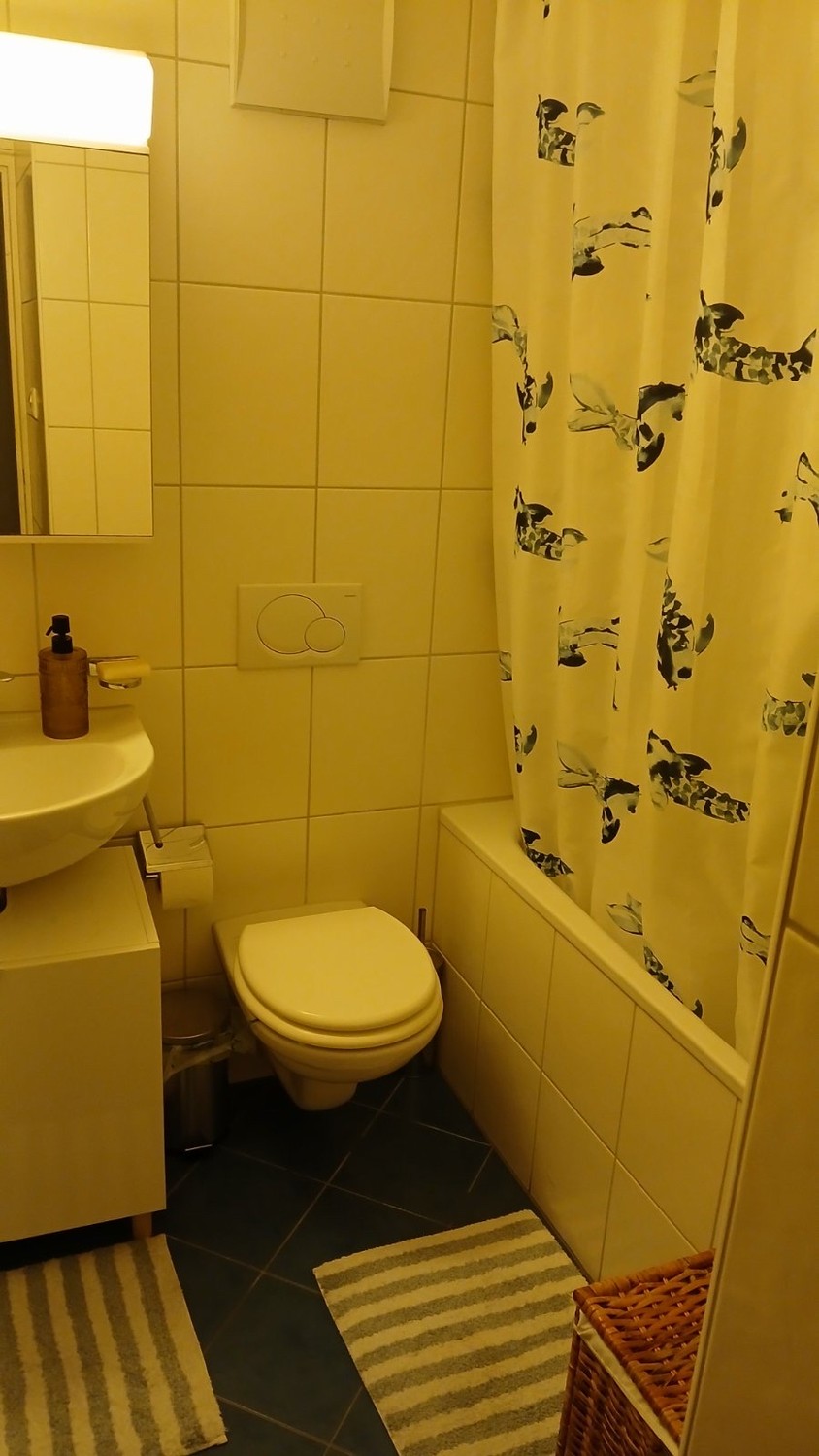 Appartement de 2 ½ pièces, photo 8 sur 8