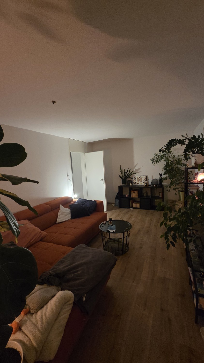 Chambre en colocation