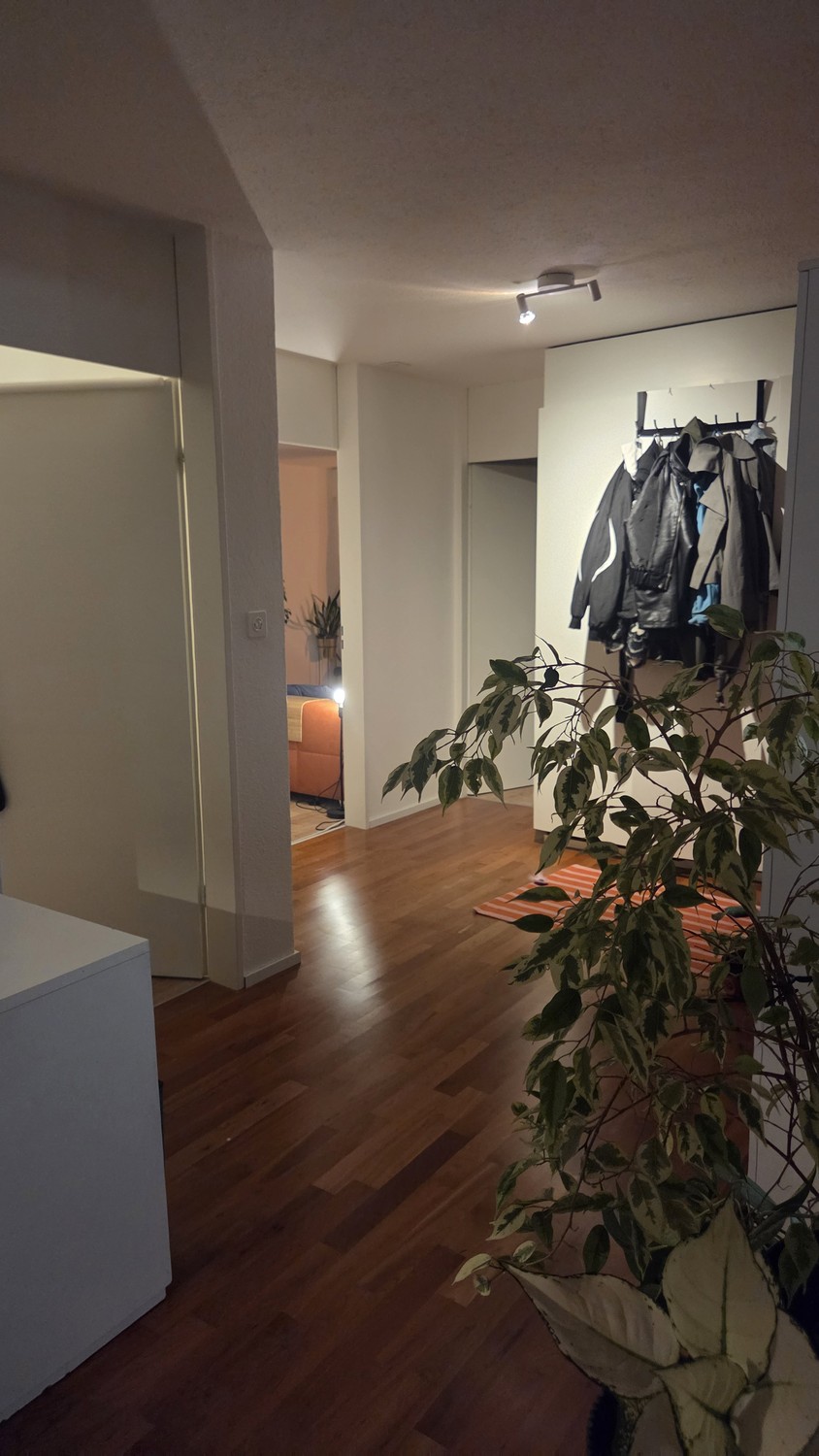 Chambre en colocation