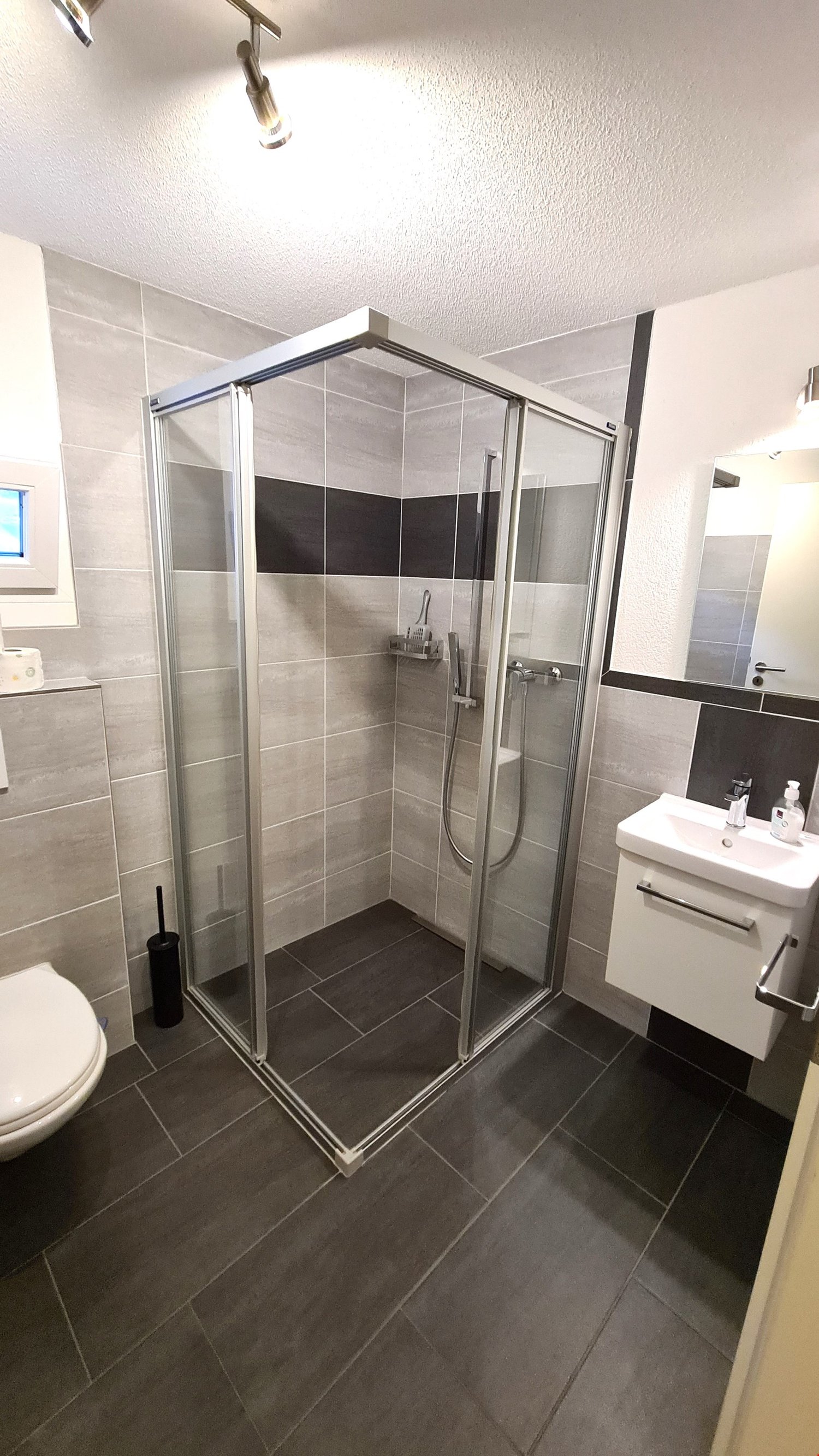 Maison individuelle de 6 ½ pièces, photo 4 sur 10