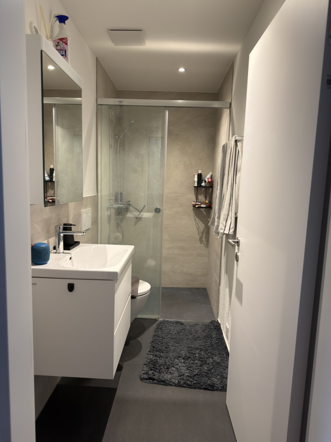 Appartement de 3 ½ pièces