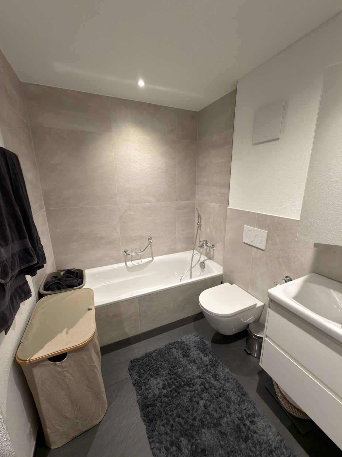 Appartement de 3 ½ pièces