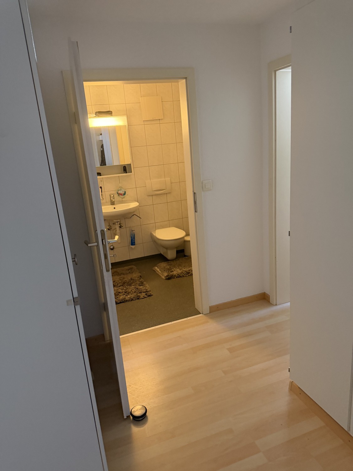 Appartement de 2 ½ pièces