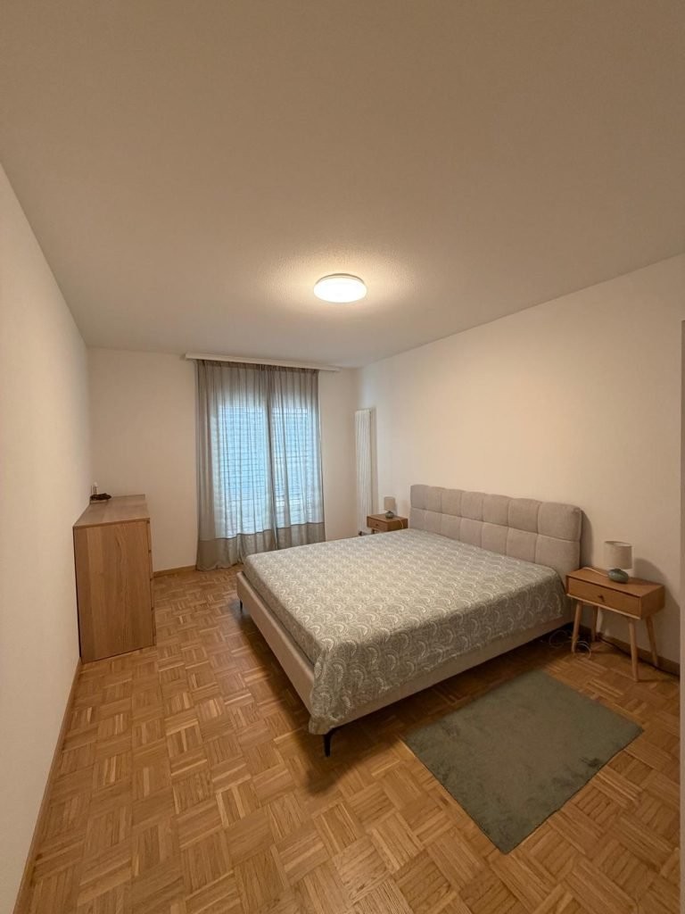 1 ½ rooms apartment, photo 3 sur 6
