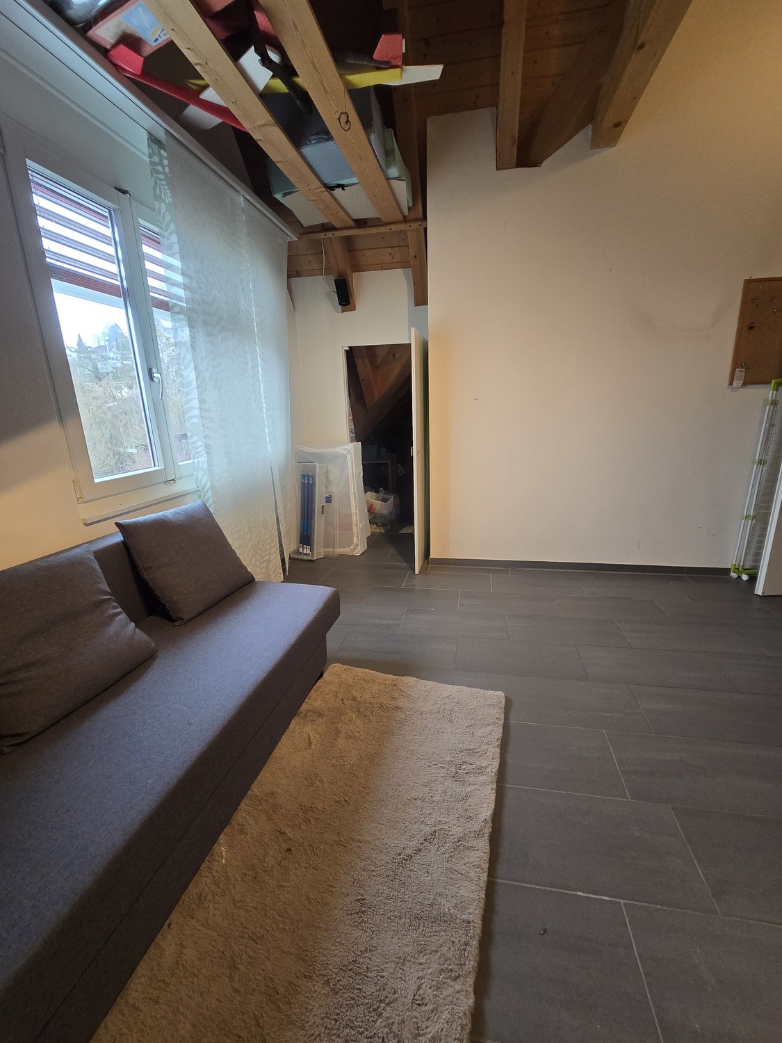 Room in a shared flat