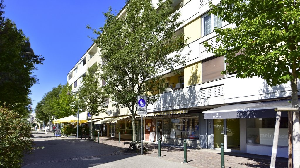 Appartement de 1 ½ pièces