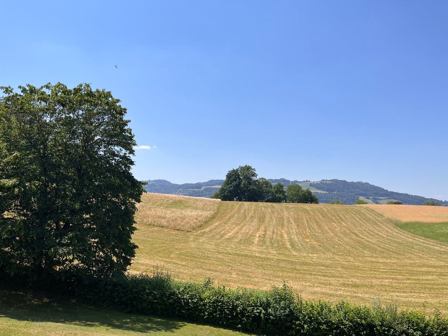Appartement de 5 pièces