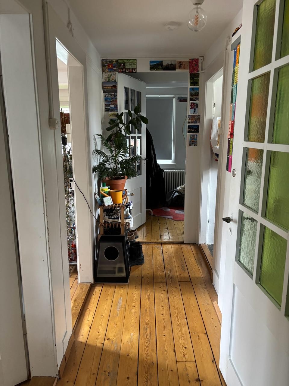 Chambre en colocation