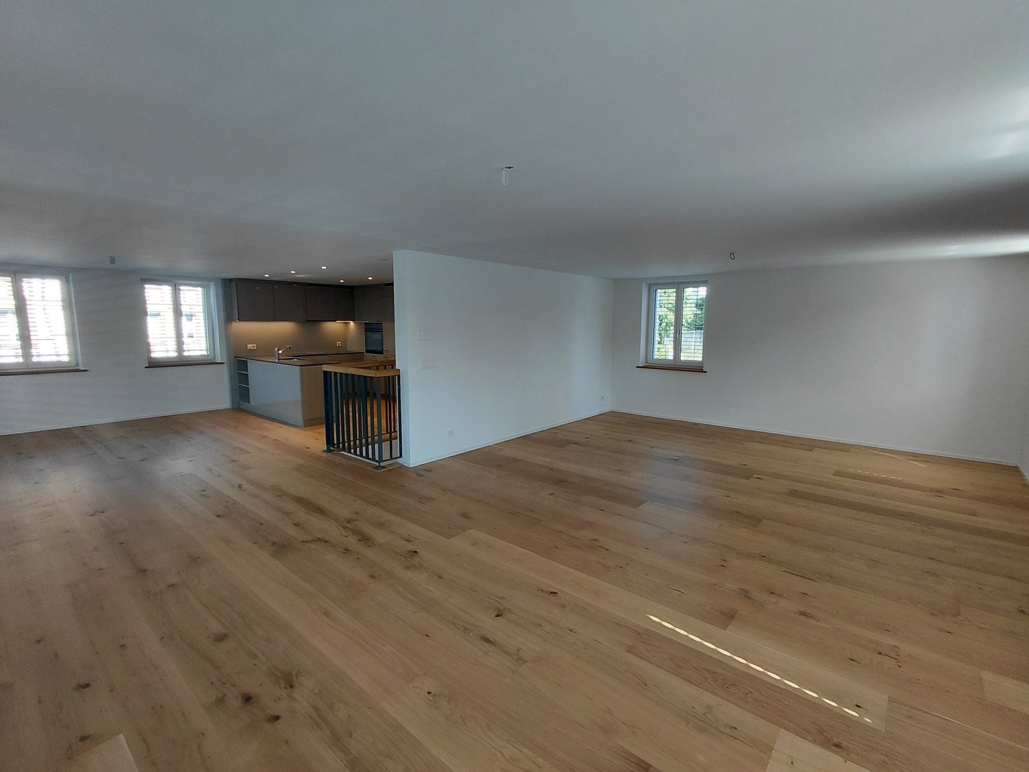 Loft de 2 ½ pièces, photo 3 sur 10