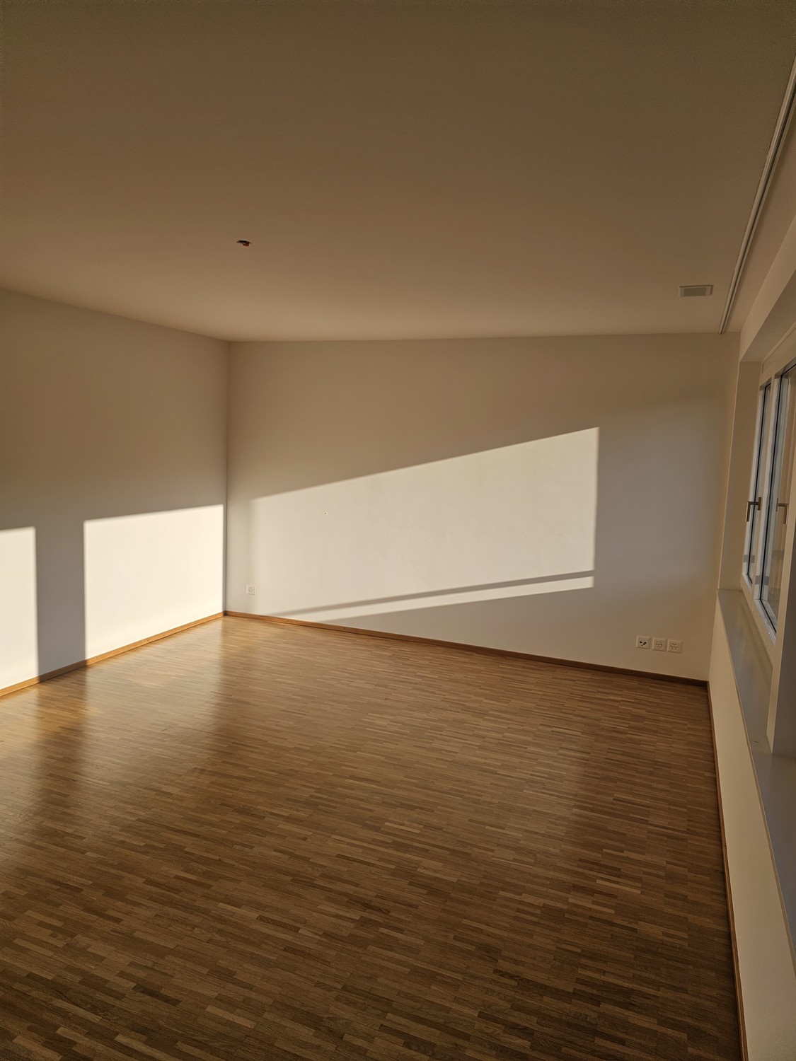 Chambre dans une colocation, photo 3 sur 3