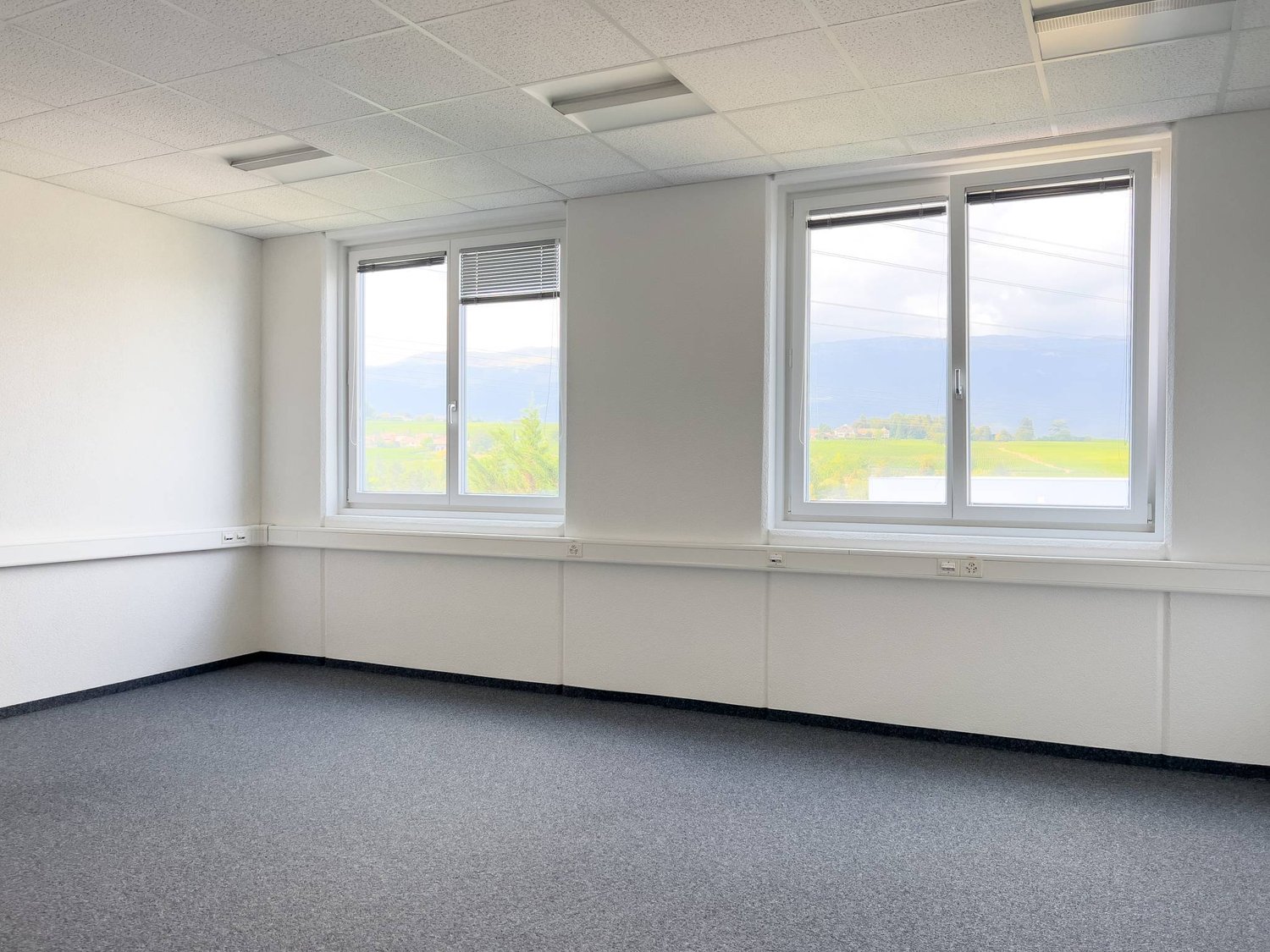 373m² office, photo 2 sur 6