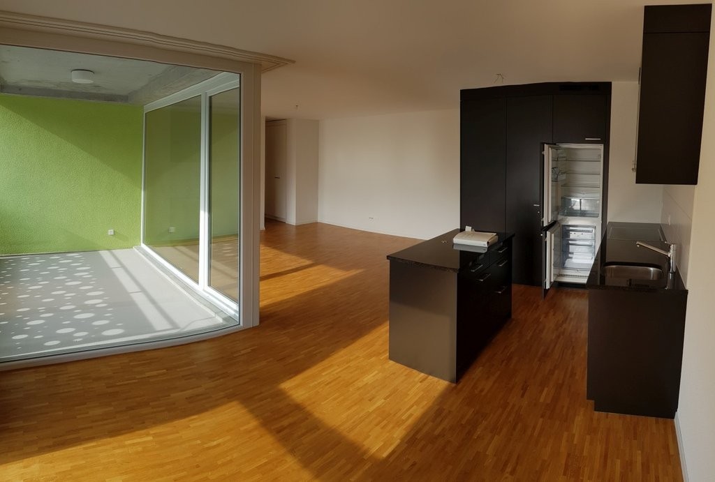 3 ½ rooms apartment, photo 3 sur 6