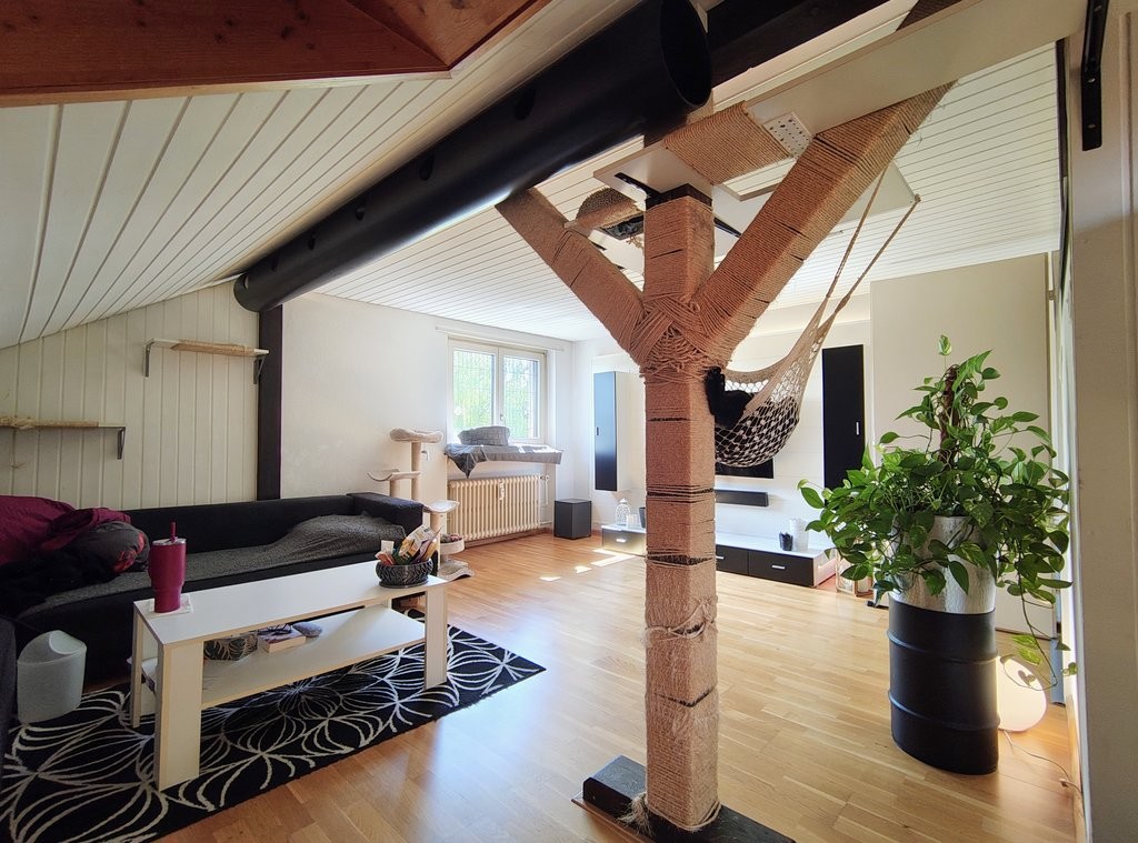 1 pièce chambre individuelle