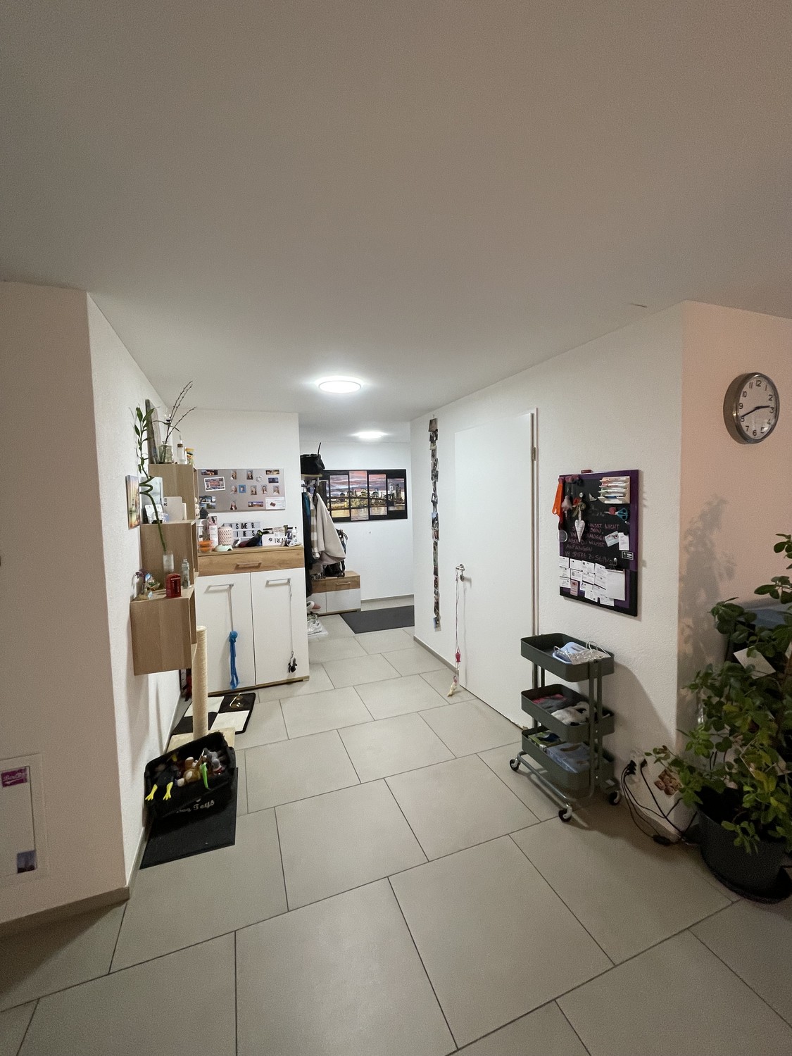 Appartement de 2 ½ pièces, photo 3 sur 10