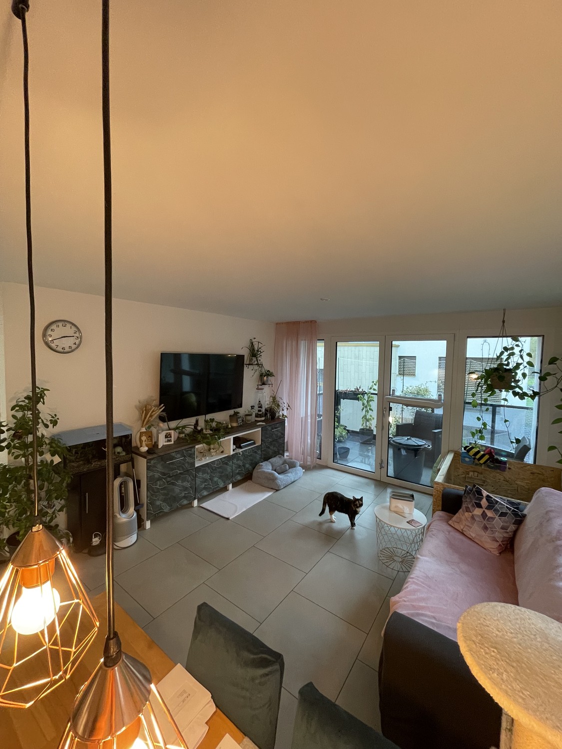 Appartement de 2 ½ pièces, photo 1 sur 10