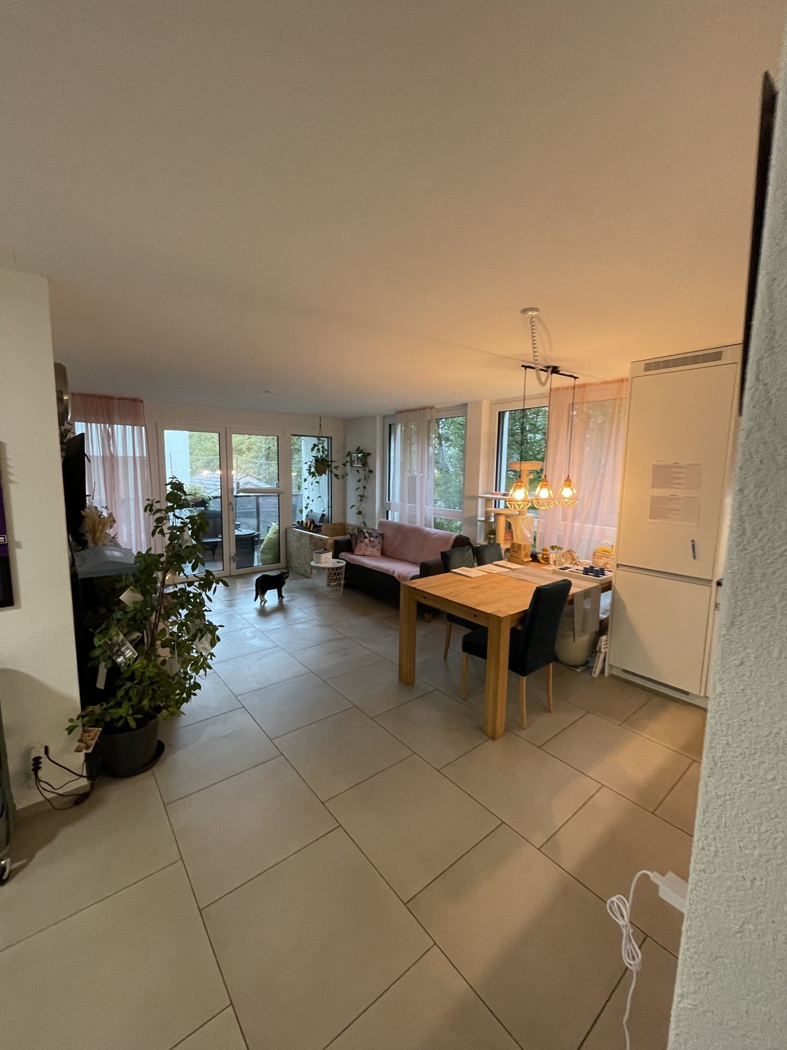 Appartement de 2 ½ pièces, photo 2 sur 10