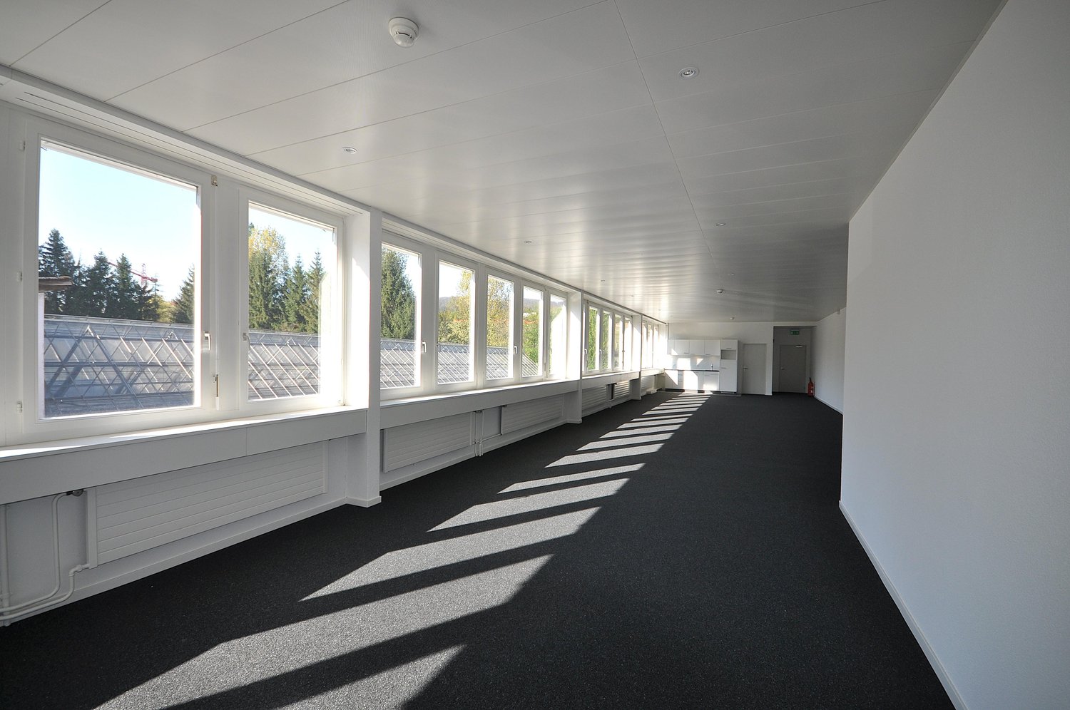 Bureau de 135m²