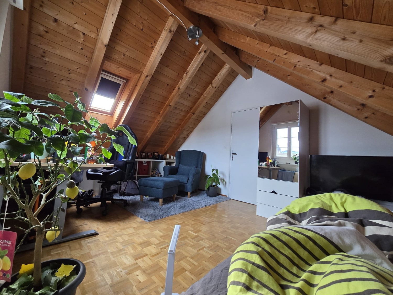 Chambre en colocation, photo 2 sur 8