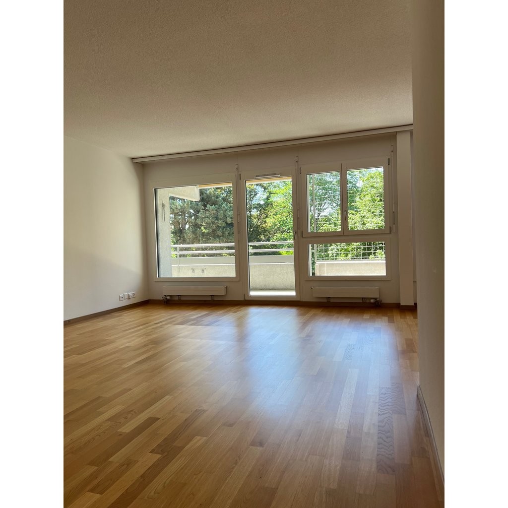 2 ½ pièces appartement