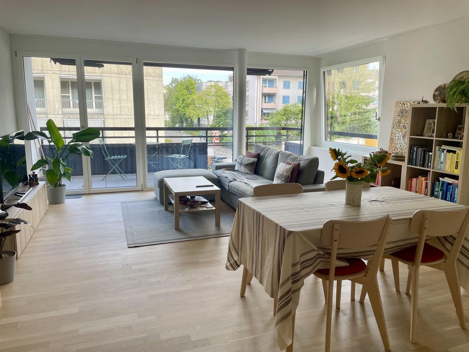 Appartement de 3 ½ pièces, photo 1 sur 9