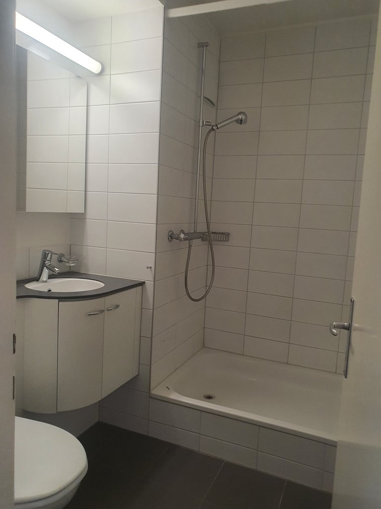 Appartement de 3 ½ pièces, photo 5 sur 5